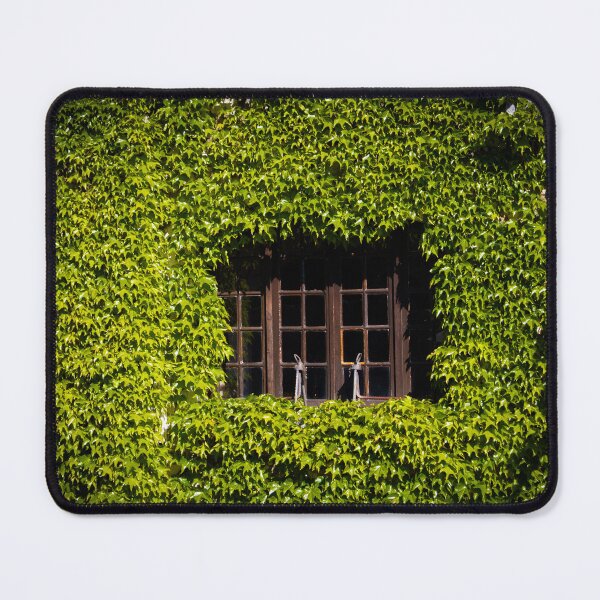 Item preview, Windows designed and sold by mortal perspective .