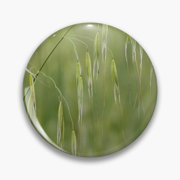 Item preview, Close-Up Of Green Oats In A Vast Field With Drooping Grain Heads For Nature Stock designed and sold by Nmallia.