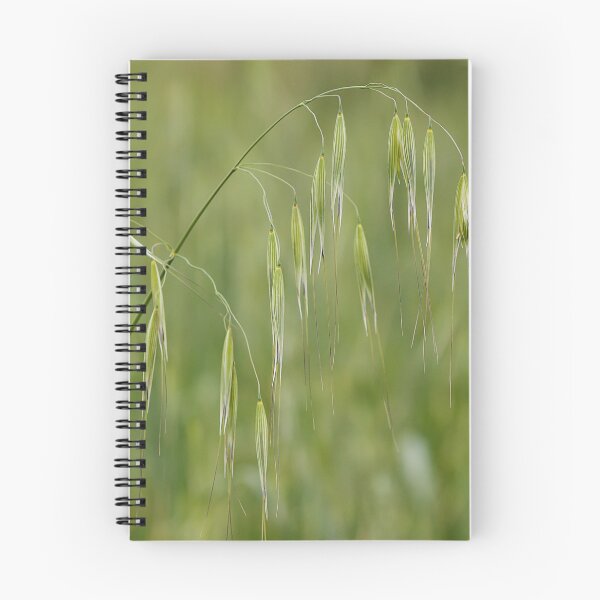 Item preview, Close-Up Of Green Oats In A Vast Field With Drooping Grain Heads For Nature Stock designed and sold by Nmallia.