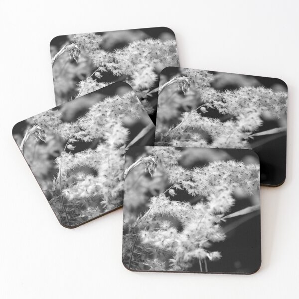 Item preview, Delicate Grasses in Black and White designed and sold by MercerImages.