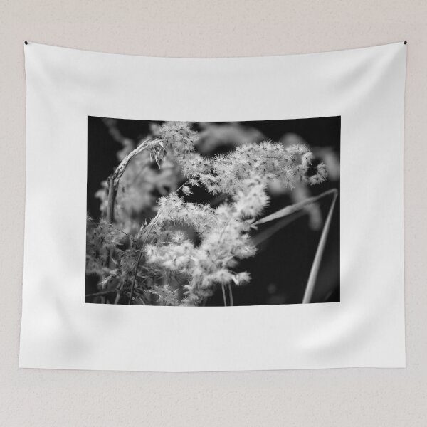 Item preview, Delicate Grasses in Black and White designed and sold by MercerImages.
