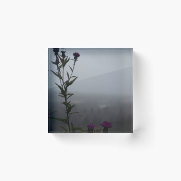 Artikelvorschau, Schottische Distel entworfen und verkauft von mortal perspective .