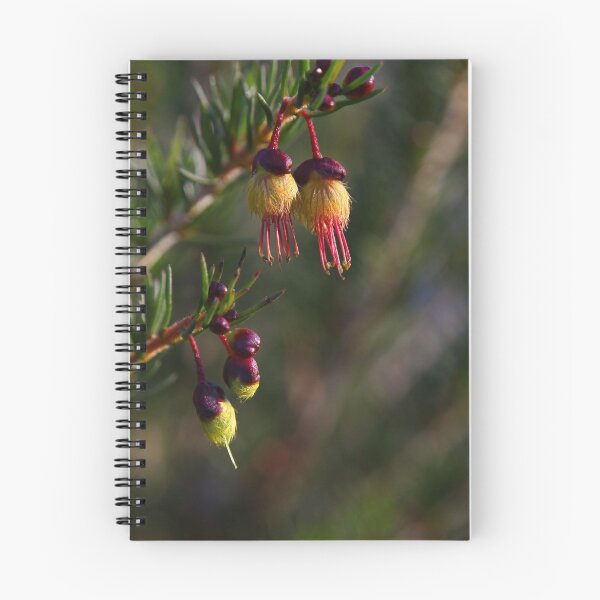 Item preview, The Not So Faraway Garden 5 designed and sold by beeden.