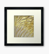 Glass Framed Print