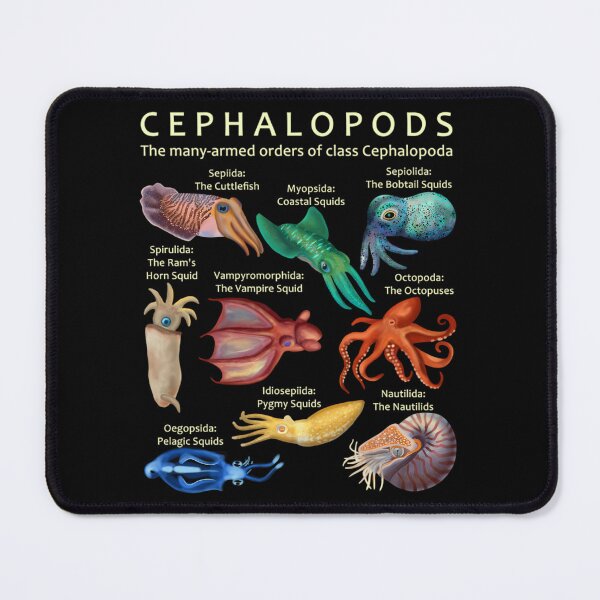 Item preview, The Cephalopod Octopus	 designed and sold by alscbcfnzbz47.