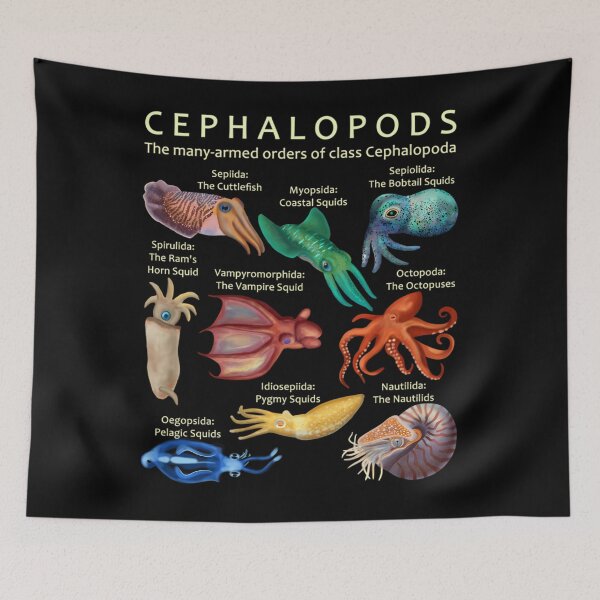 Item preview, The Cephalopod Octopus	 designed and sold by alscbcfnzbz47.