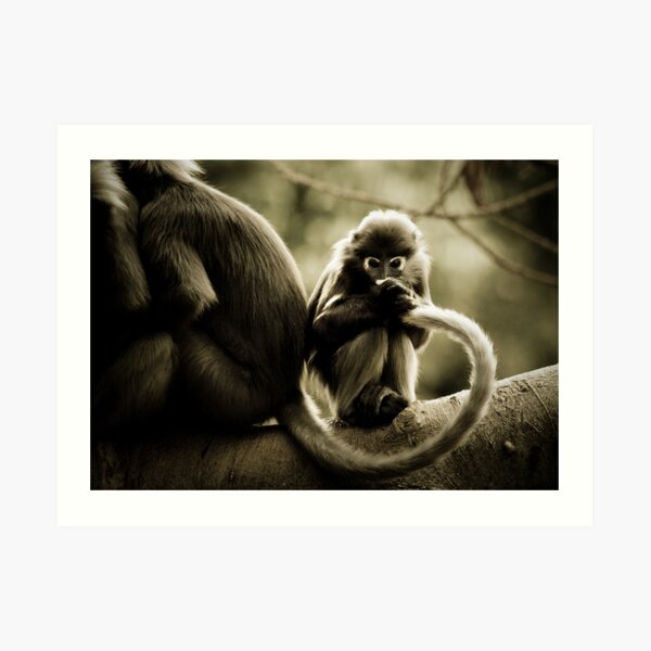 Plaything Art Print