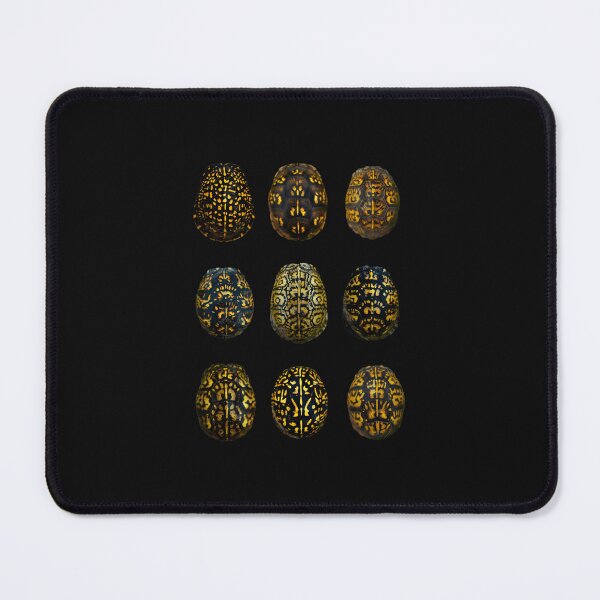 Item preview, The Beauty Of Eastern Box Turtles 2Nd Edition designed and sold by kzpfrtmfuch11.