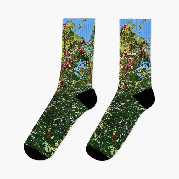 Item preview, The combination of colors in nature designed and sold by DjeriK.