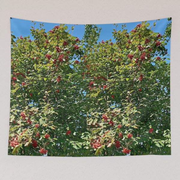 Item preview, The combination of colors in nature designed and sold by DjeriK.