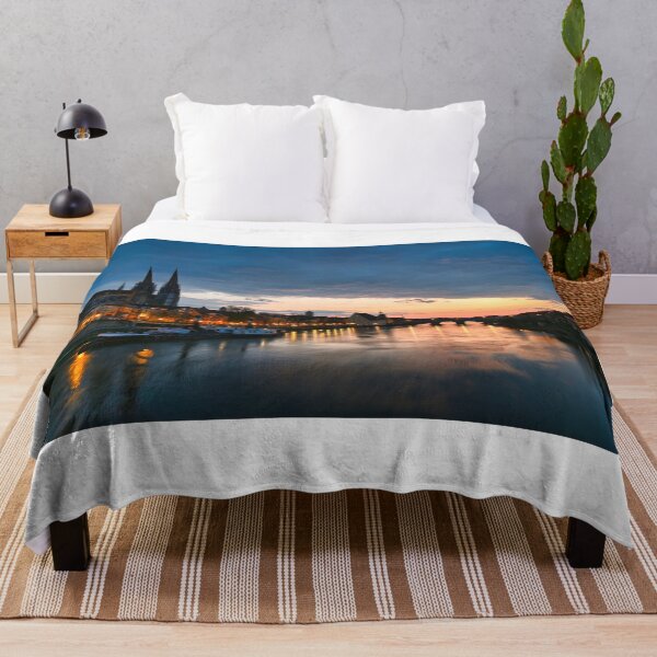 Item preview, Regensburg old town and Danube river at night, Germany designed and sold by goceris.
