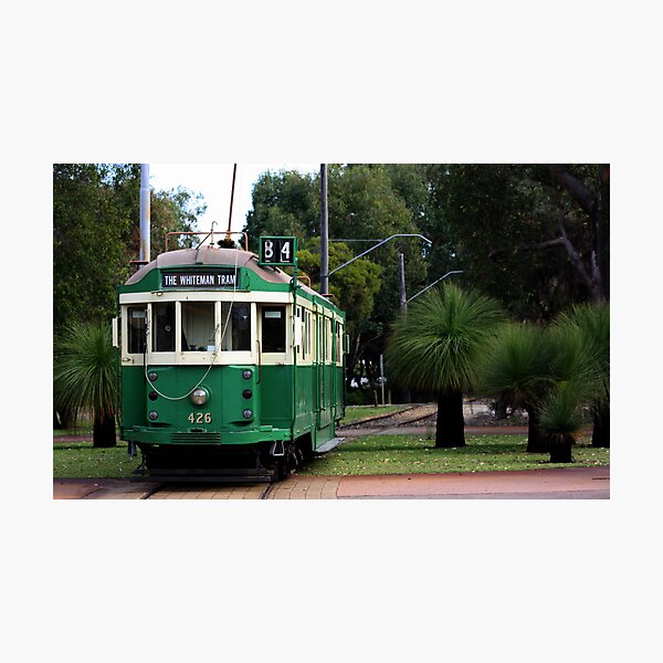 Aperçu de l'œuvre BUSH TRAM créée et vendue par bero84.