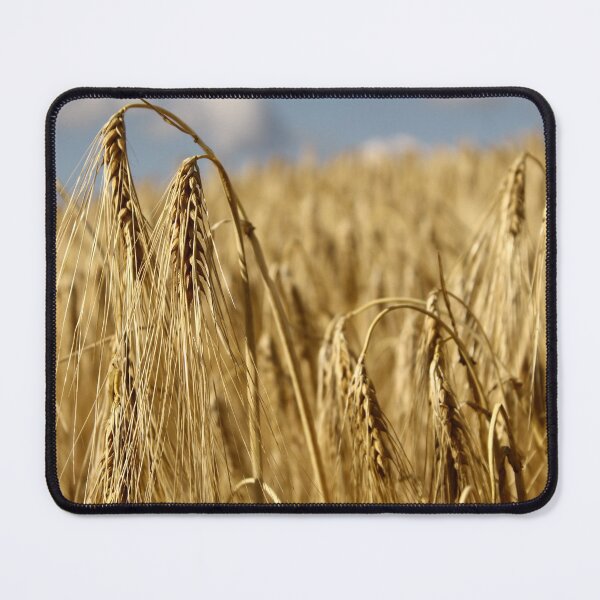 Item preview, Grain harvest designed and sold by DryPotato.