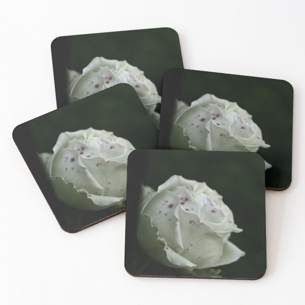 Item preview, white rose designed and sold by DryPotato.