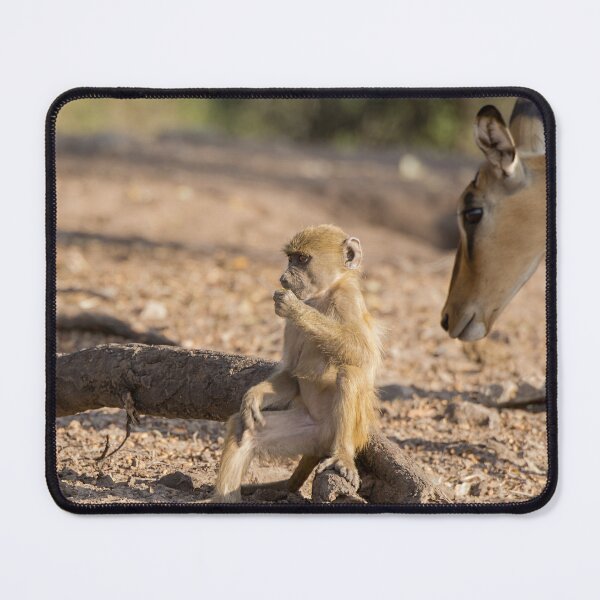 Item preview, Curiosity in the Wild – Baby Baboon and Antelope designed and sold by DavideAntoniani.