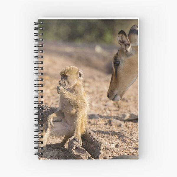 Item preview, Curiosity in the Wild – Baby Baboon and Antelope designed and sold by DavideAntoniani.