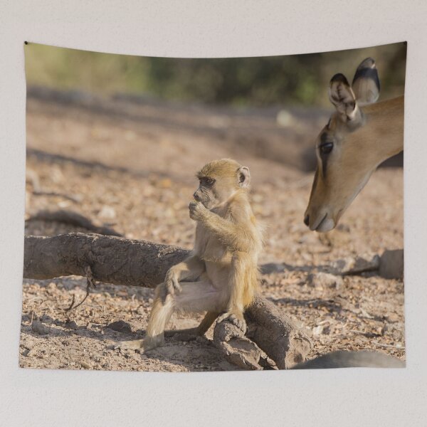 Item preview, Curiosity in the Wild – Baby Baboon and Antelope designed and sold by DavideAntoniani.