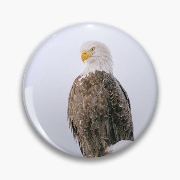 Item preview, Bald Eagle Alaska 2 designed and sold by PhotoArt by Joan Carroll.
