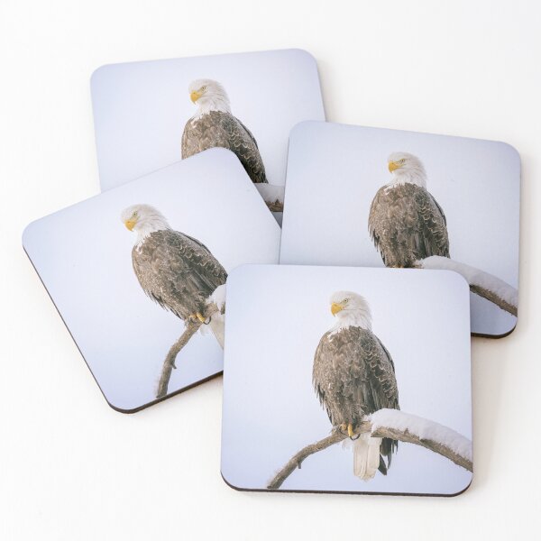 Item preview, Bald Eagle Alaska 2 designed and sold by PhotoArt by Joan Carroll.