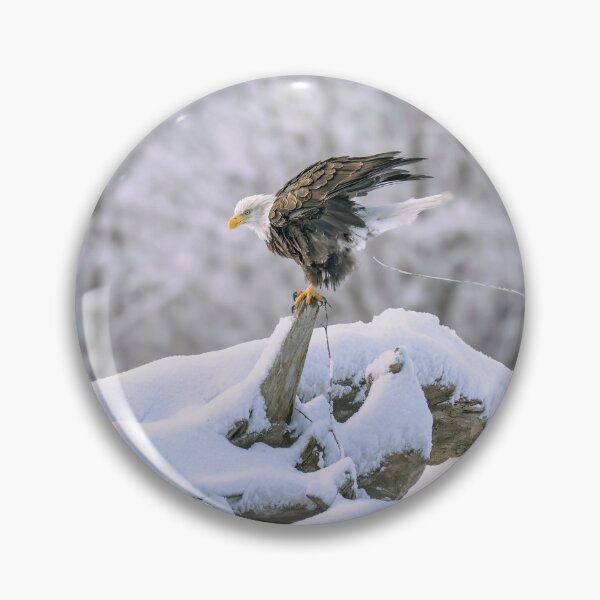 Item preview, Shedding Weight For Flight designed and sold by PhotoArt by Joan Carroll.