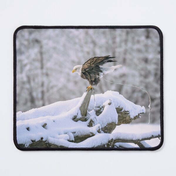 Item preview, Shedding Weight For Flight designed and sold by PhotoArt by Joan Carroll.
