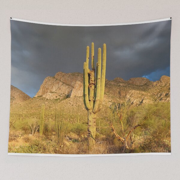 Item preview, Saguaro Dark Sky Mountain  designed and sold by simonjayphotos.
