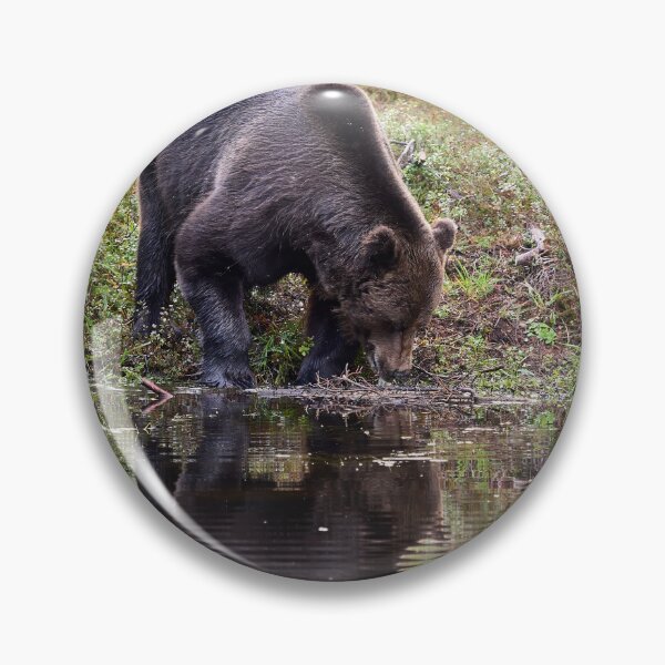 Item preview, Helo handsome. Brown bear 2025 designed and sold by Jouko Lehto Photography.