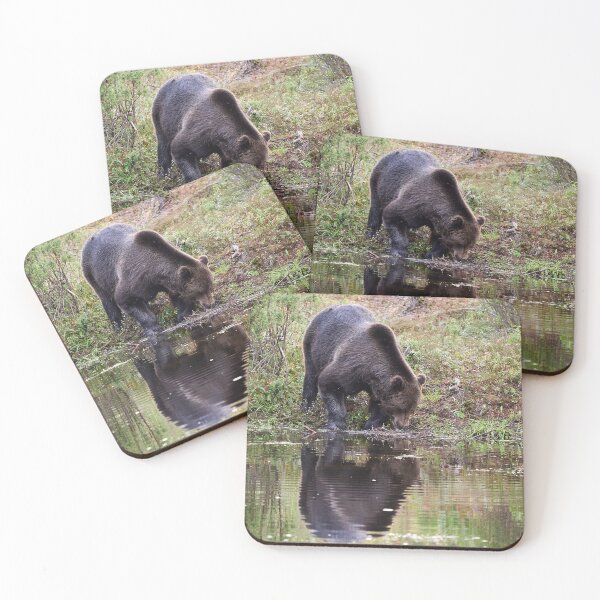 Item preview, Helo handsome. Brown bear 2025 designed and sold by Jouko Lehto Photography.