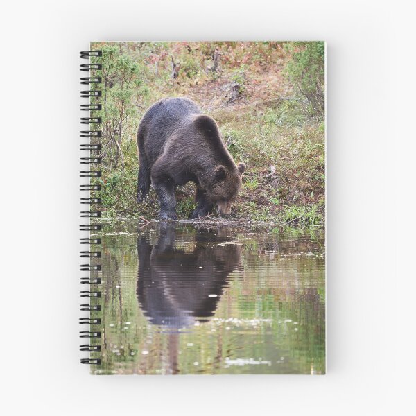 Item preview, Helo handsome. Brown bear 2025 designed and sold by Jouko Lehto Photography.