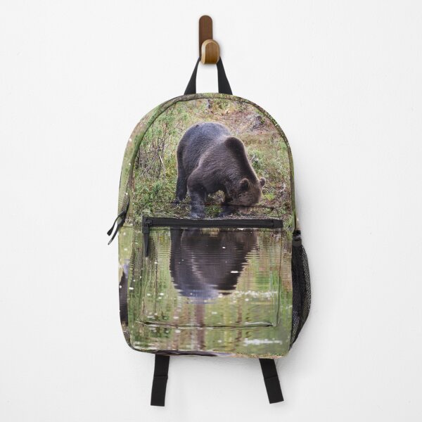 Item preview, Helo handsome. Brown bear 2025 designed and sold by Jouko Lehto Photography.
