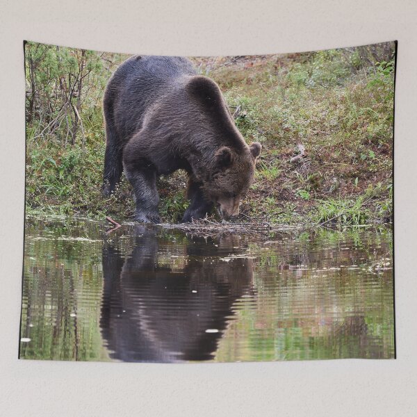 Item preview, Helo handsome. Brown bear 2025 designed and sold by Jouko Lehto Photography.