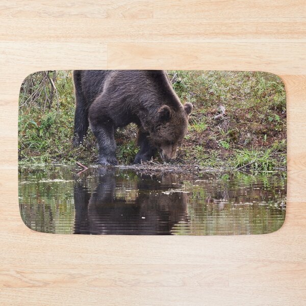 Item preview, Helo handsome. Brown bear 2025 designed and sold by Jouko Lehto Photography.