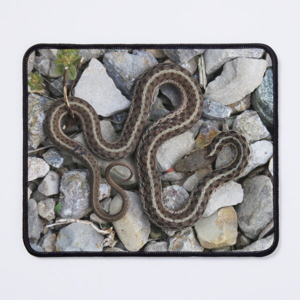 Item preview, Speaks with Forked Tongue. designed and sold by Alice  Becky Kahn.