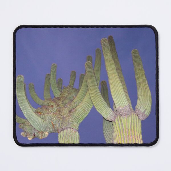 Item preview, Beautiful And Stunning Saguaro Cacti designed and sold by simonjayphotos.
