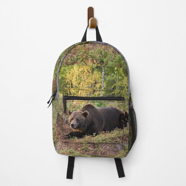 Item preview, Moment of rest. Brown bear 2025 designed and sold by Jouko Lehto Photography.