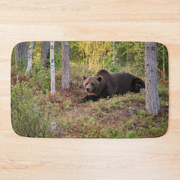 Item preview, Moment of rest. Brown bear 2025 designed and sold by Jouko Lehto Photography.
