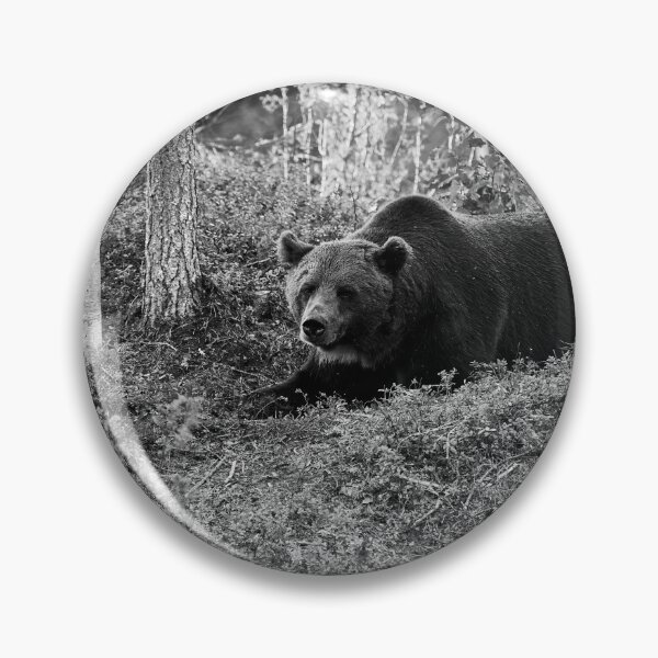 Item preview, Moment of rest. Brown bear 2025 bw designed and sold by Jouko Lehto Photography.