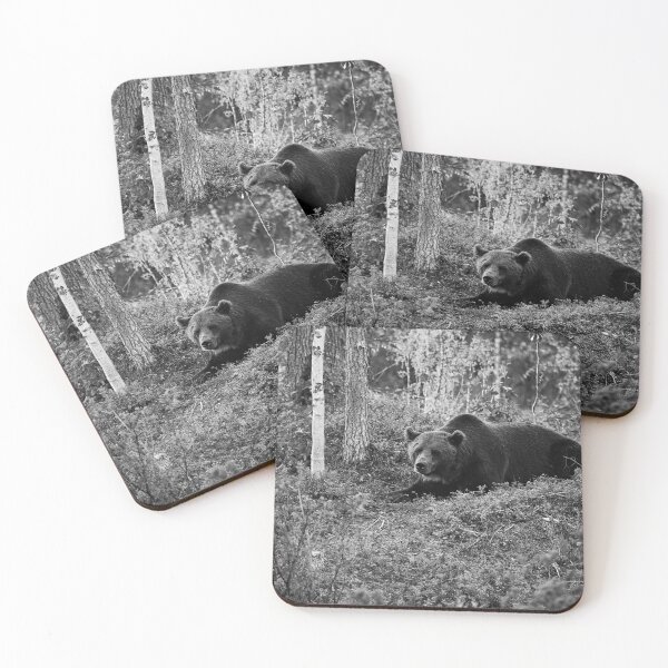 Item preview, Moment of rest. Brown bear 2025 bw designed and sold by Jouko Lehto Photography.