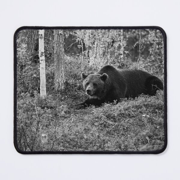 Item preview, Moment of rest. Brown bear 2025 bw designed and sold by Jouko Lehto Photography.