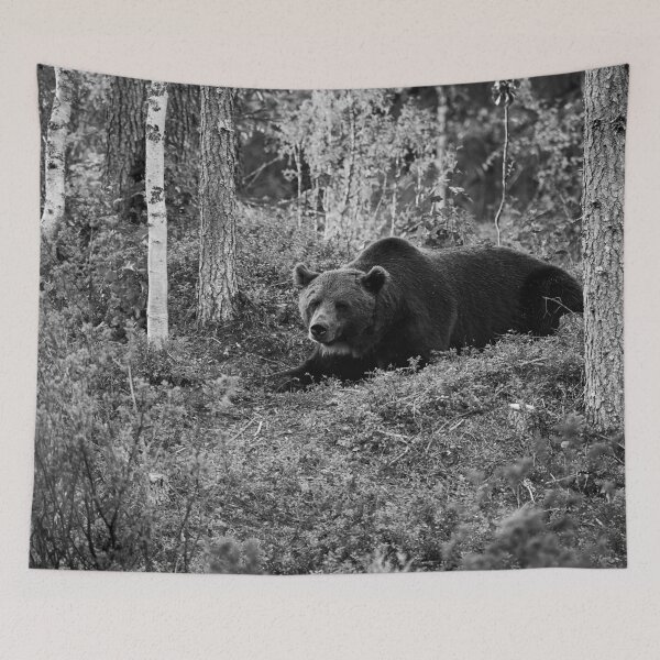 Item preview, Moment of rest. Brown bear 2025 bw designed and sold by Jouko Lehto Photography.