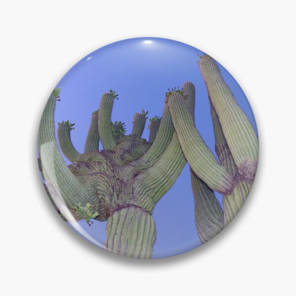Item preview, Wonderful Saguaro Cacti In The Sonoran Desert designed and sold by simonjayphotos.