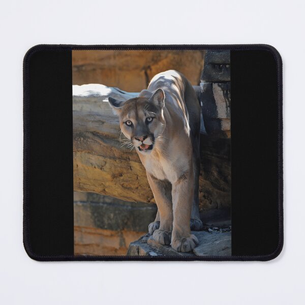 Item preview, Mountain Lion designed and sold by komipydjbs39.