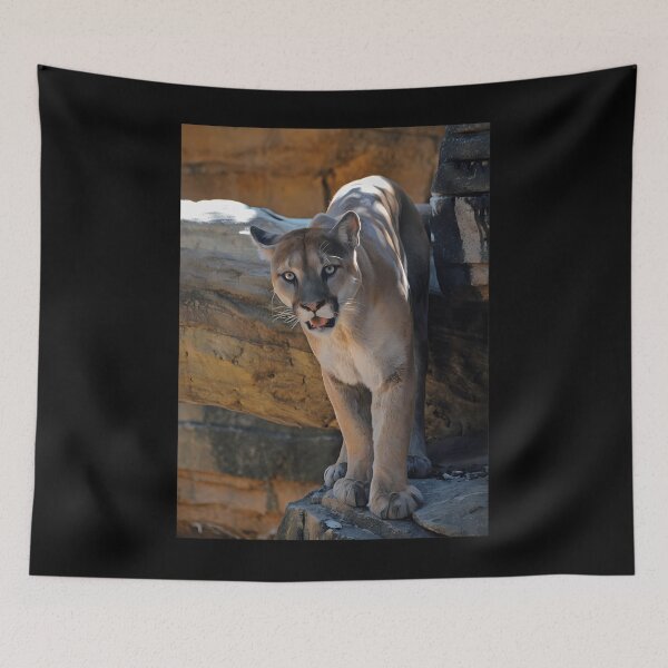 Item preview, Mountain Lion  	 designed and sold by komipydjbs39.