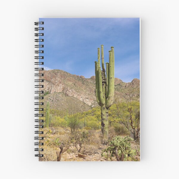 Item preview, Amazing Desert View designed and sold by simonjayphotos.