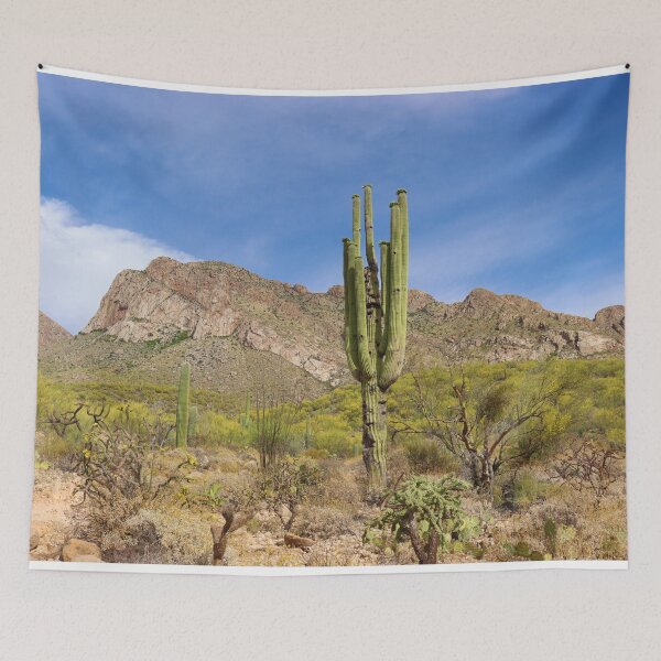 Item preview, Amazing Desert View designed and sold by simonjayphotos.