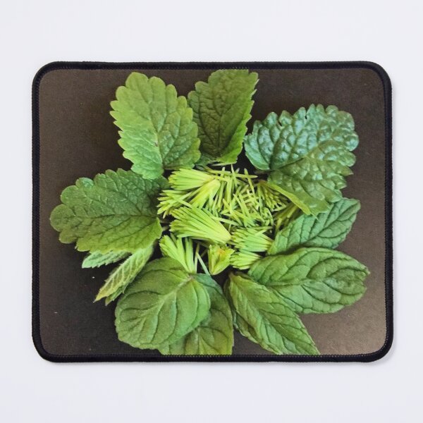 Item preview, Thyme Anschütz Brings Calm Anschutz Vibes designed and sold by Tinafogg.