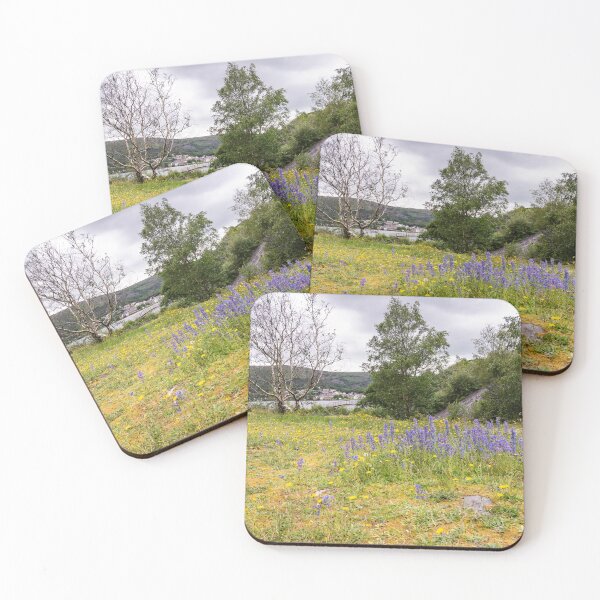 Item preview, Padarn Country Park in Llanberis, Wales designed and sold by yackers1.