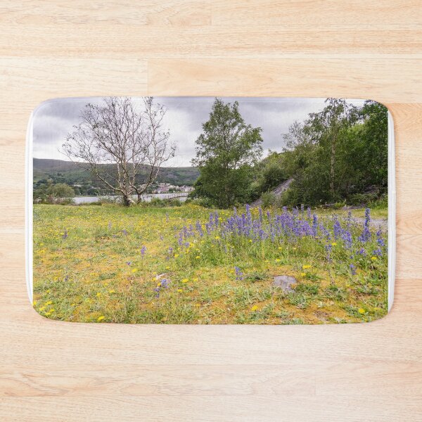 Item preview, Padarn Country Park in Llanberis, Wales designed and sold by yackers1.