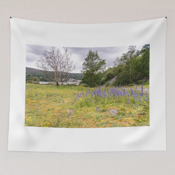 Item preview, Padarn Country Park in Llanberis, Wales designed and sold by yackers1.