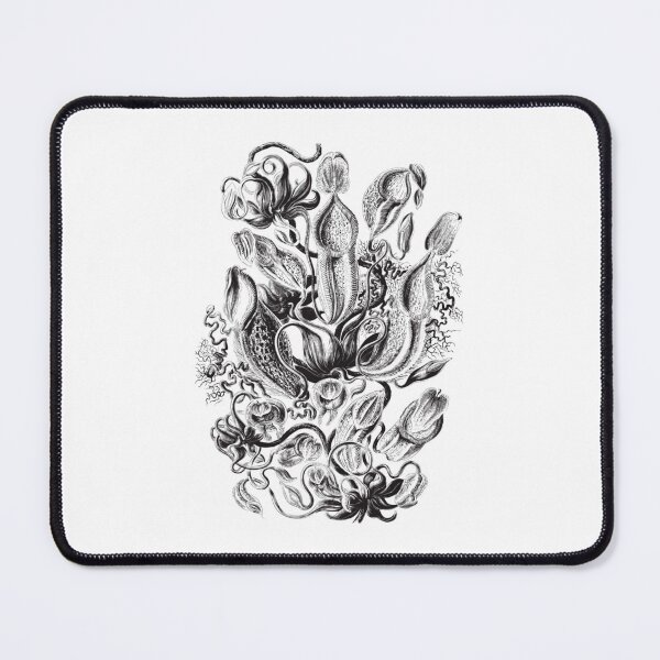 Item preview, Haeckel's Pitchers  	 designed and sold by curpstumw99.
